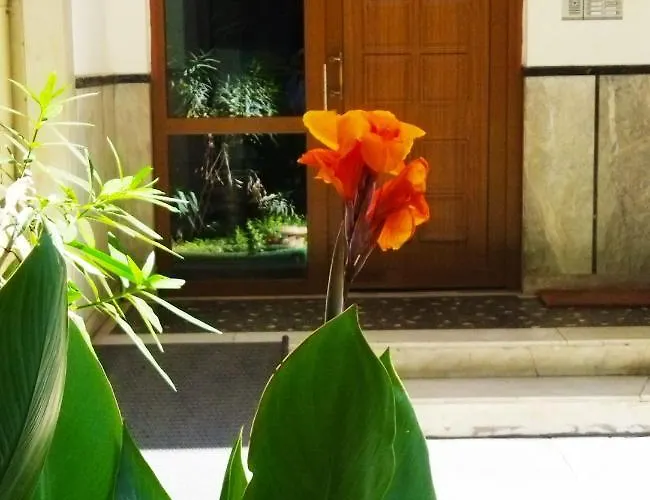 Apartament Alpha Omega Salonic